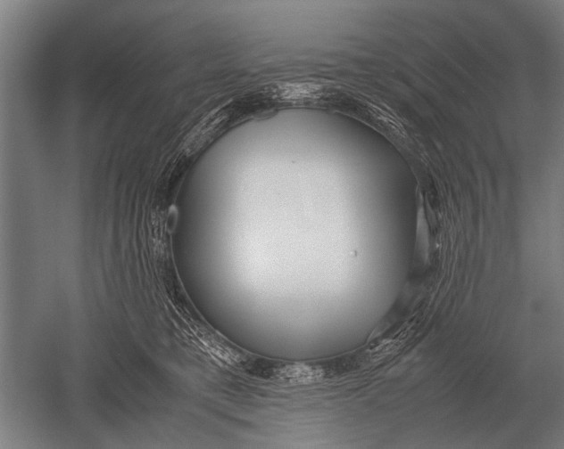 X0000051250421200507082155