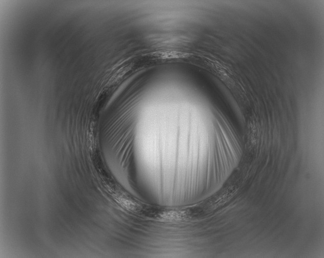 X0000051250422200507082155