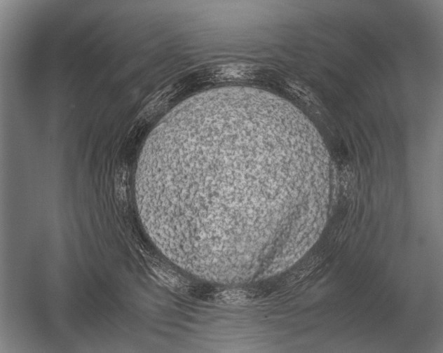 X0000051250423200507082155