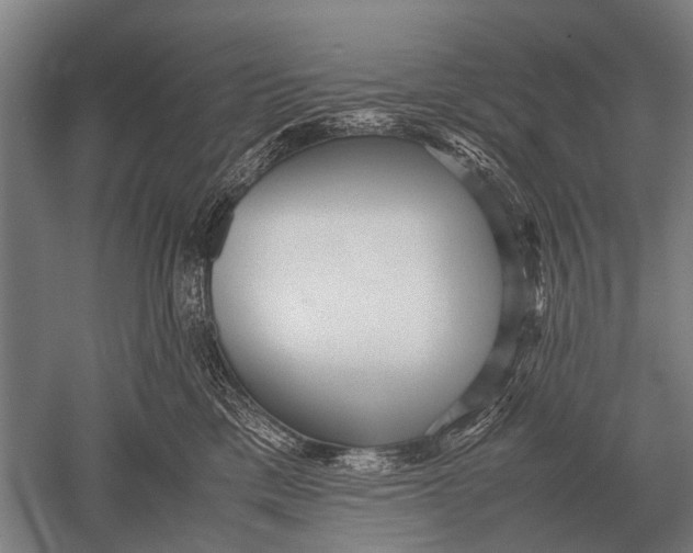 X0000051250425200507082155