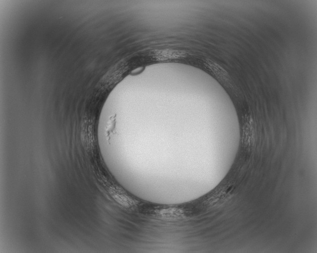 X0000051250426200507082155