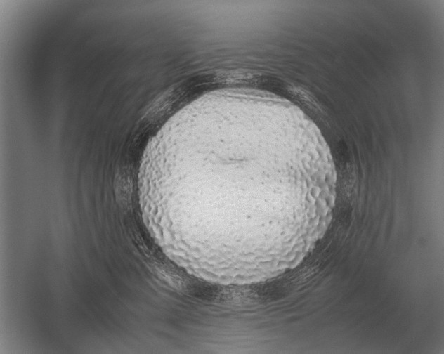 X0000051250427200507082155