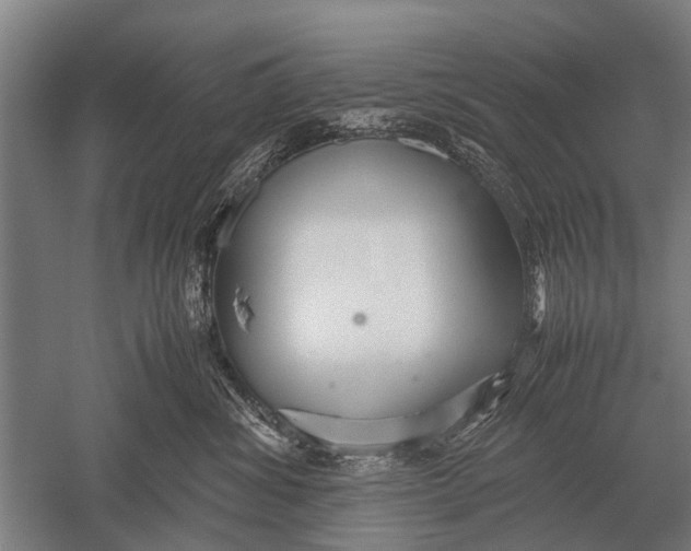 X0000051250428200507082155