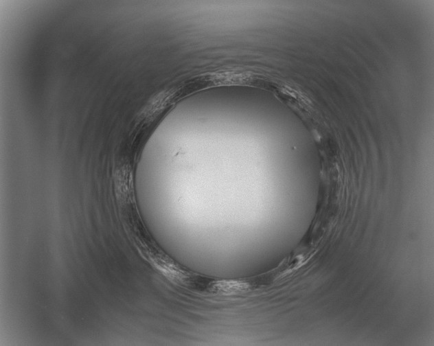 X0000051250429200507082155