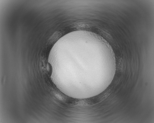 X0000051250430200507082155