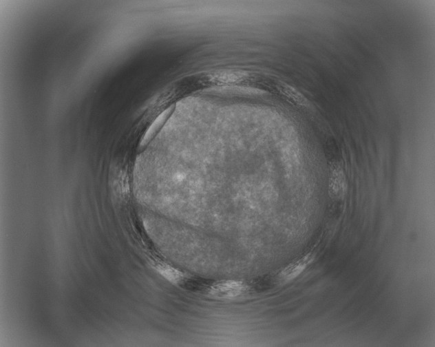 X0000051250431200507082155