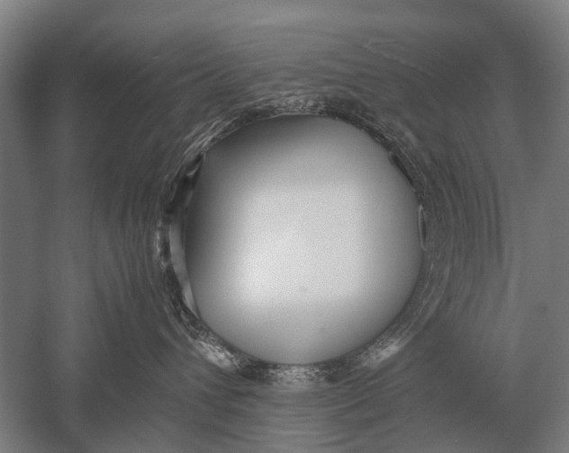 X0000051250432200507082155