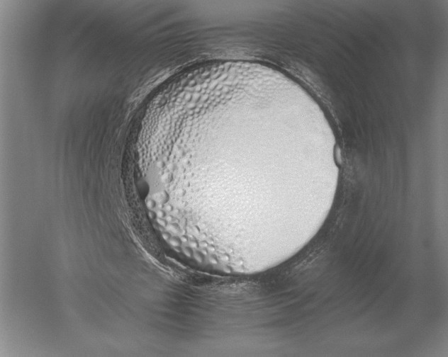 X0000051250433200507082154