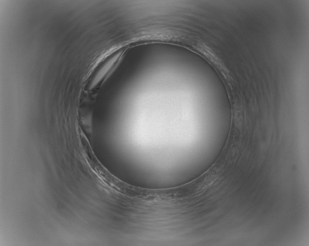 X0000051250434200507082154