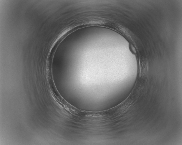 X0000051250435200507082154