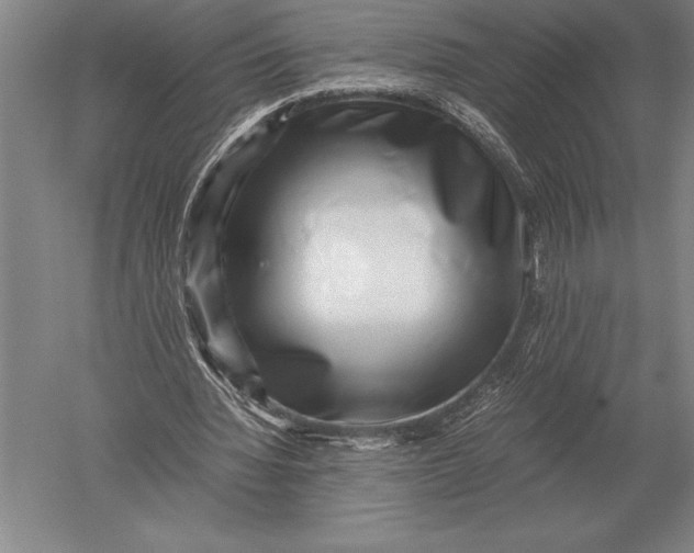 X0000051250436200507082154