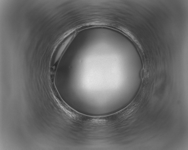 X0000051250437200507082154