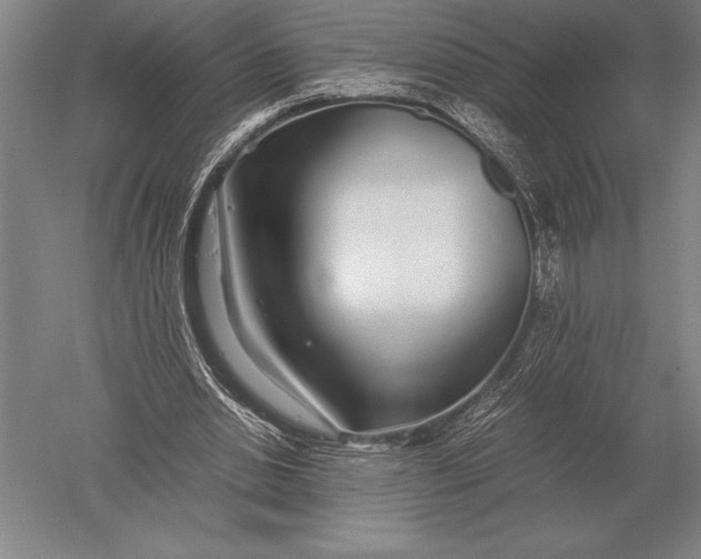 X0000051250438200507082154