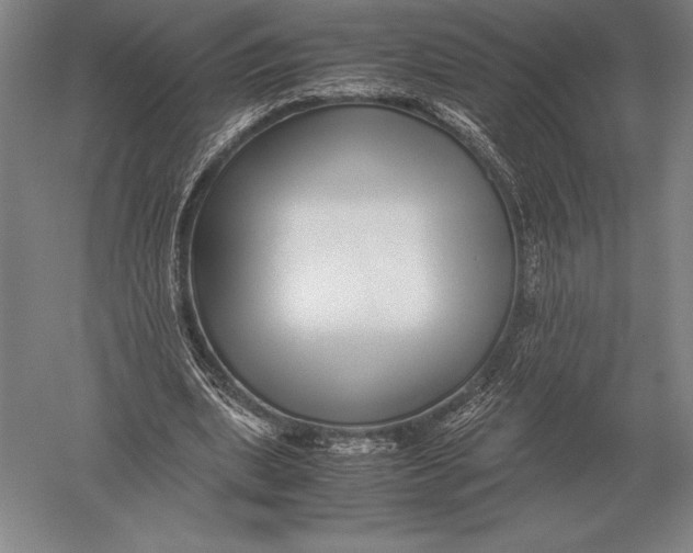 X0000051250439200507082154