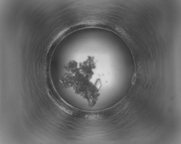 X0000051250440200507082154