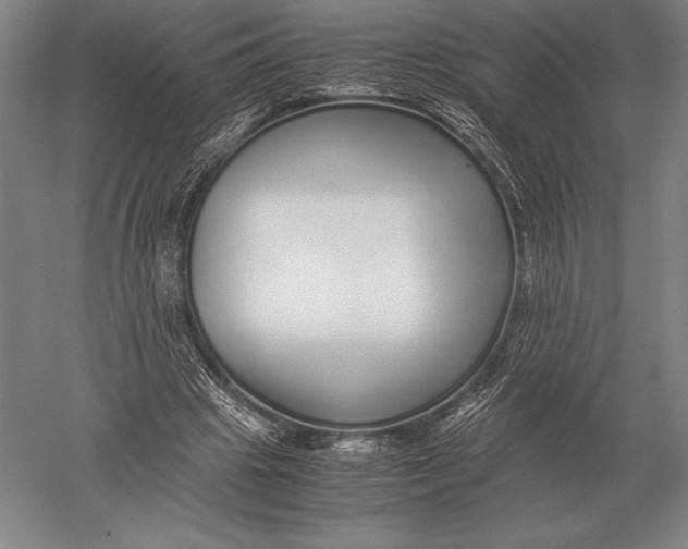 X0000051250441200507082154