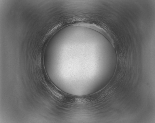 X0000051250442200507082154