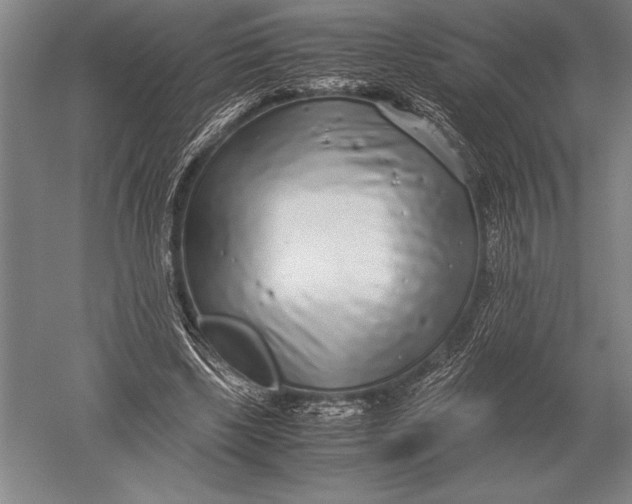 X0000051250443200507082154