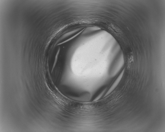 X0000051250444200507082154