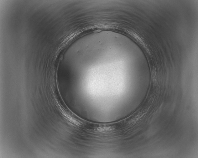 X0000051250445200507082154