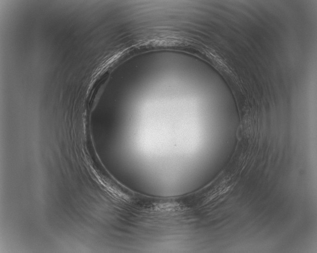 X0000051250446200507082154