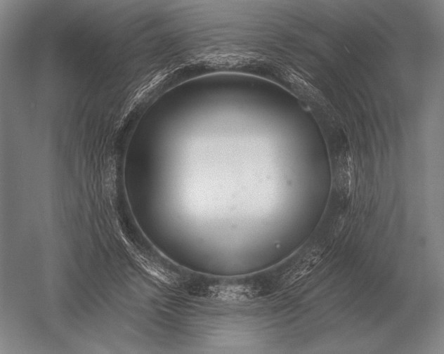 X0000051250448200507082154