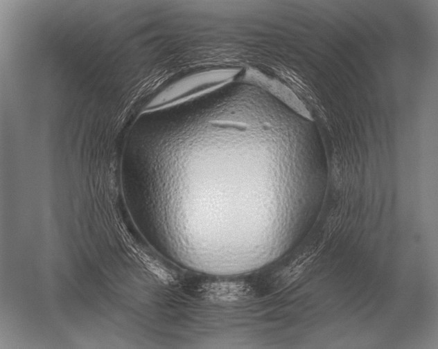 X0000051250449200507082154