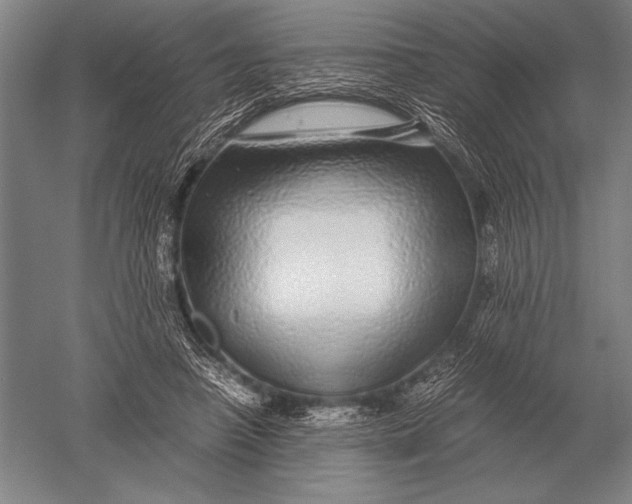 X0000051250450200507082154