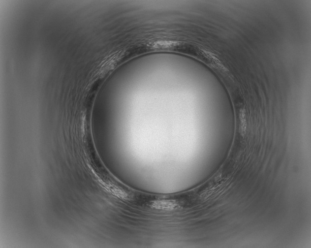 X0000051250451200507082154