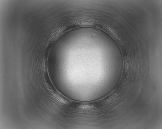 X0000051250453200507082154