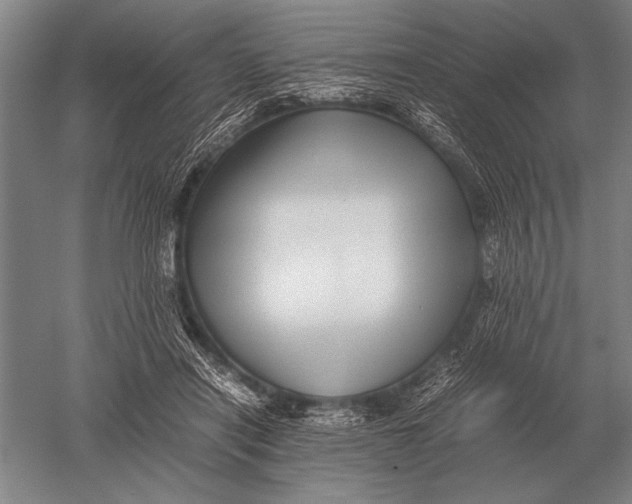 X0000051250454200507082154