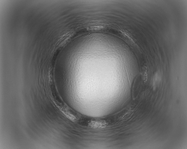 X0000051250455200507082154