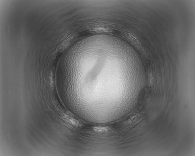 X0000051250457200507082154