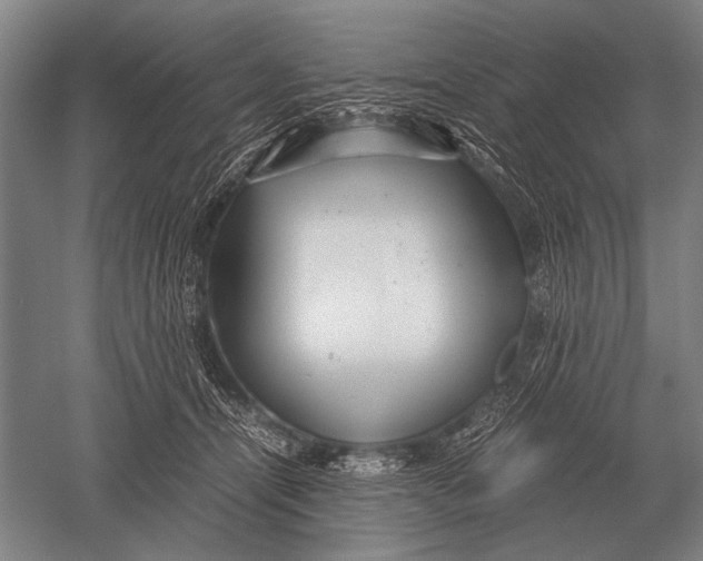 X0000051250464200507082155