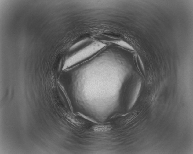 X0000051250465200507082155