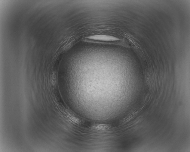 X0000051250467200507082155