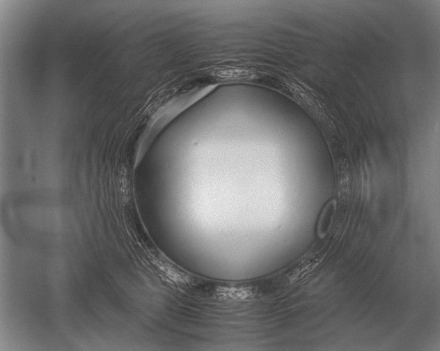 X0000051250469200507082155