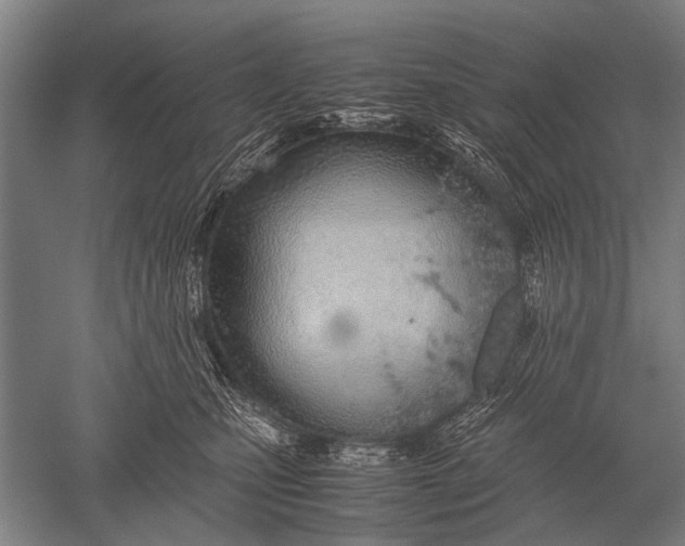 X0000051250471200507082155