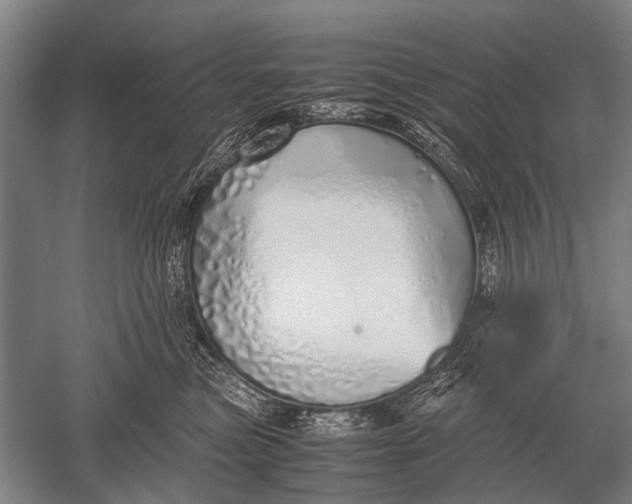 X0000051250473200507082155