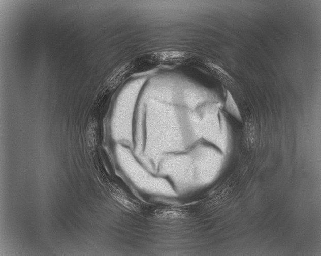 X0000051250475200507082155