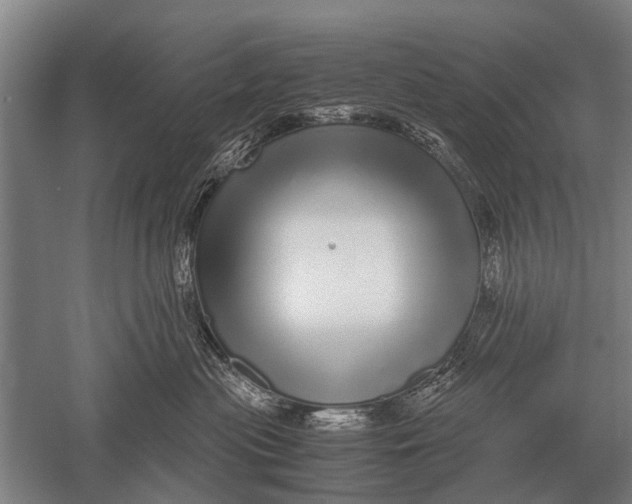 X0000051250477200507082155