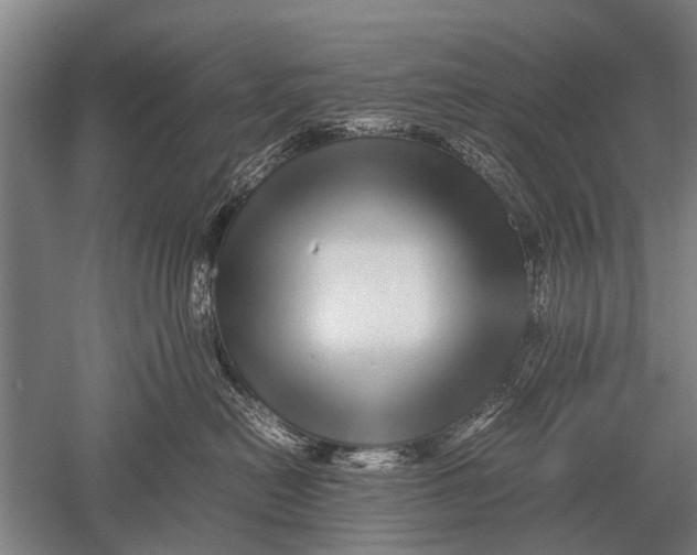 X0000051250478200507082155