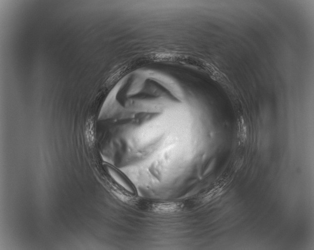 X0000051250479200507082155