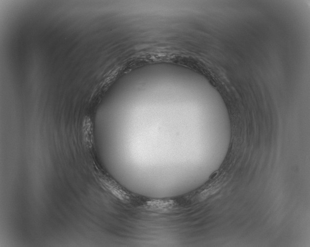 X0000051250480200507082155