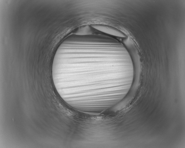 X0000051250481200507082154