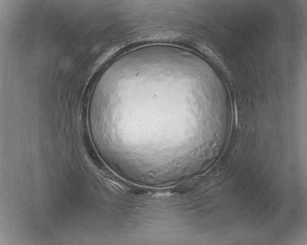 X0000051250483200507082154