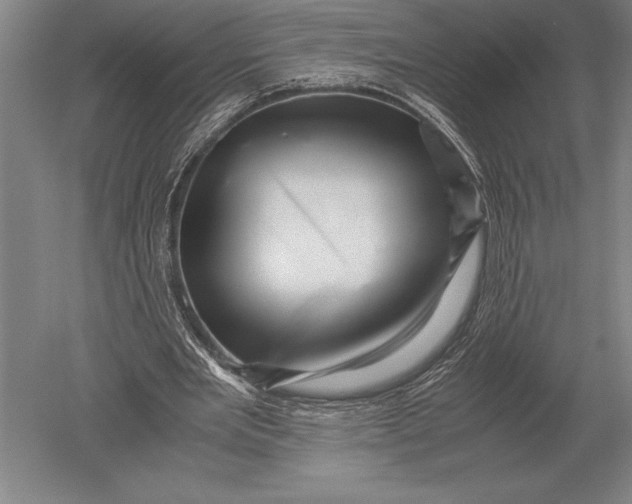 X0000051250485200507082154