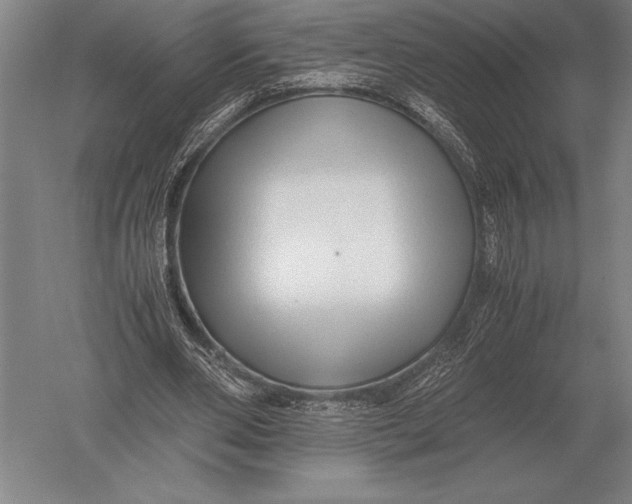 X0000051250486200507082154