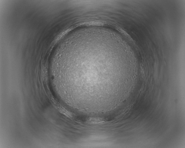 X0000051250487200507082154