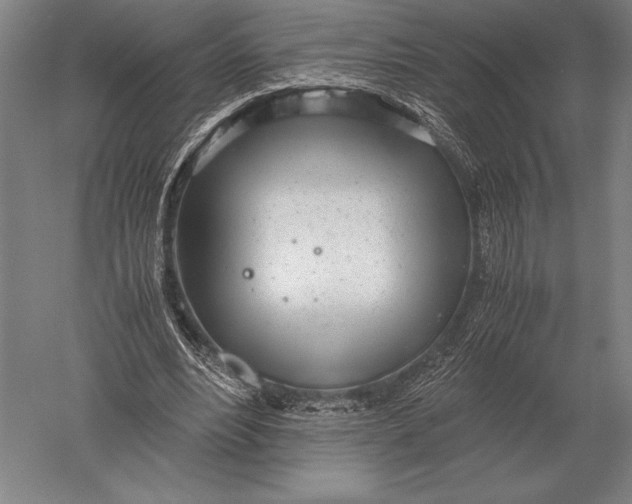 X0000051250488200507082154